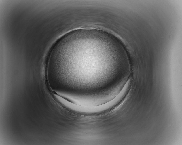 X0000088411506200706121405