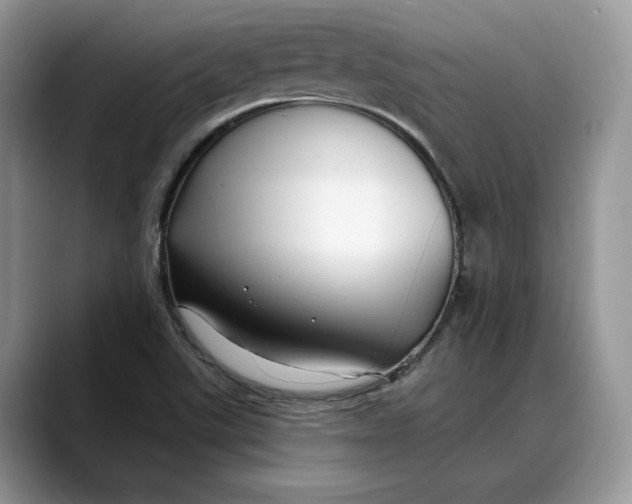 X0000088411507200706121405