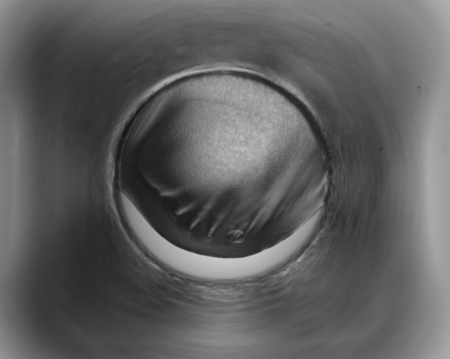 X0000088411508200706121405