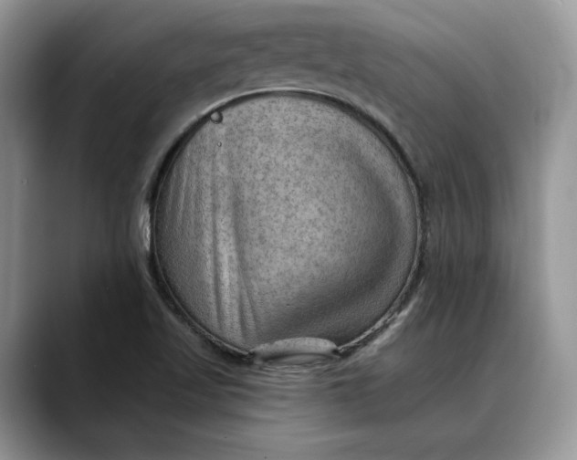 X0000088411509200706121405