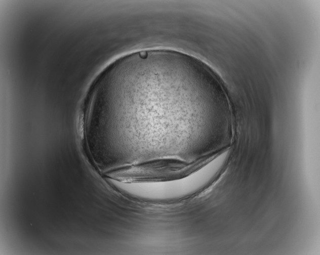 X0000088411510200706121405