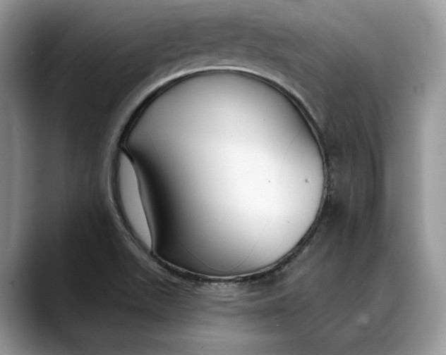 X0000088411511200706121405