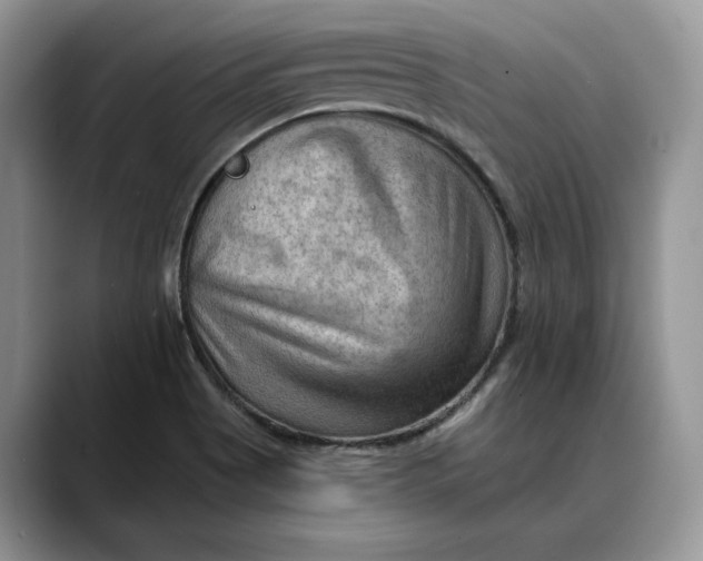 X0000088411513200706121405