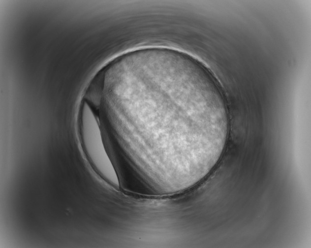 X0000088411519200706121405