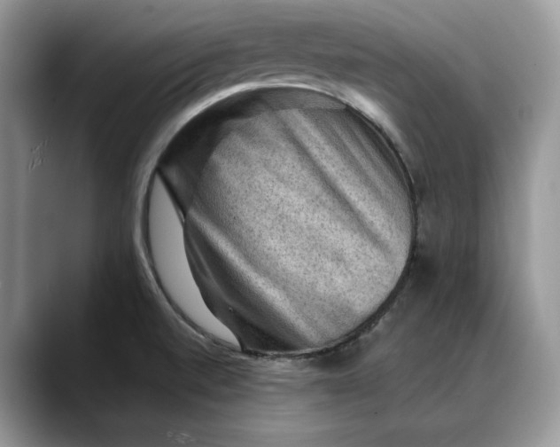 X0000088411520200706121405