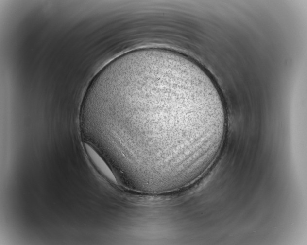 X0000088411521200706121405