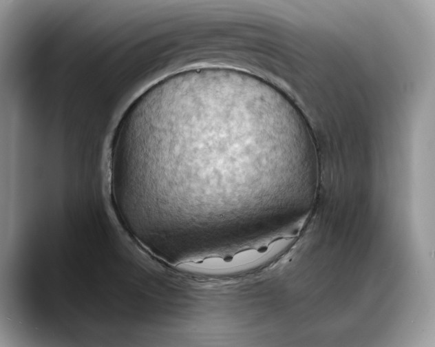 X0000088411522200706121405