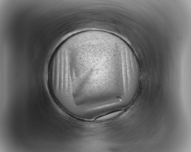 X0000088411523200706121405