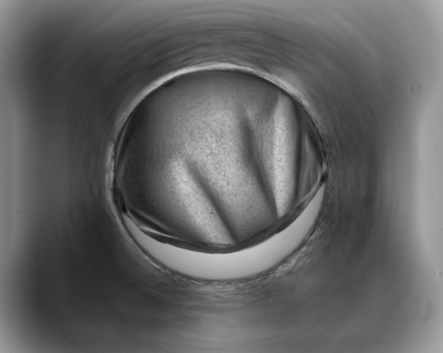 X0000088411524200706121405