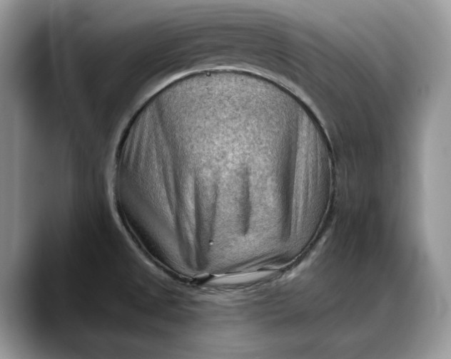 X0000088411525200706121405