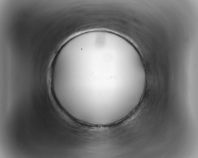 X0000088411526200706121405