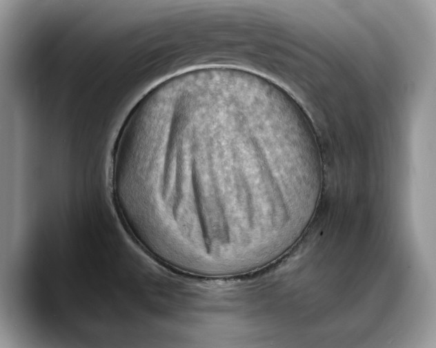 X0000088411527200706121405