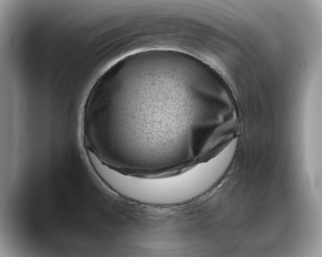 X0000088411528200706121405