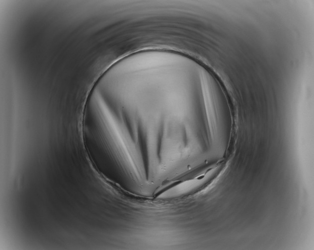 X0000088411529200706121405