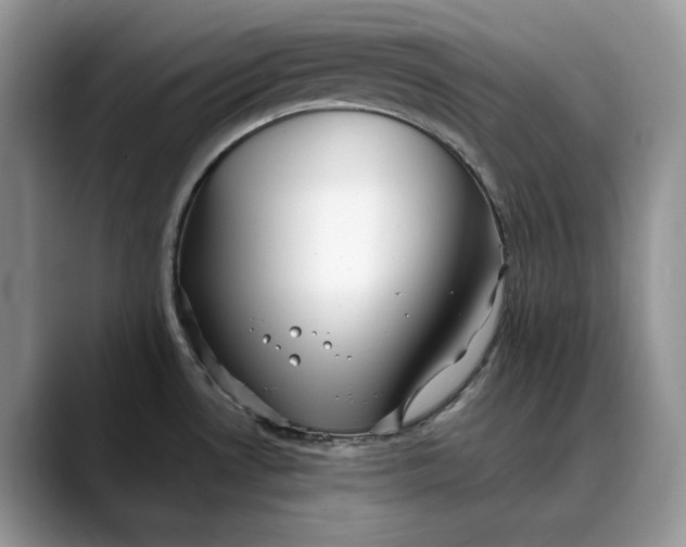 X0000088411530200706121405