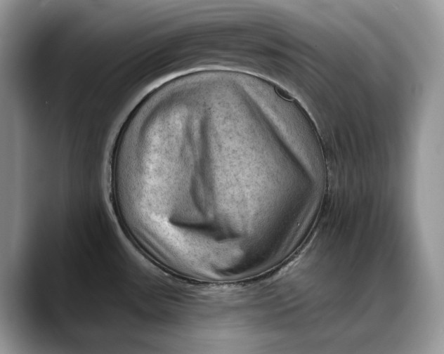 X0000088411531200706121405