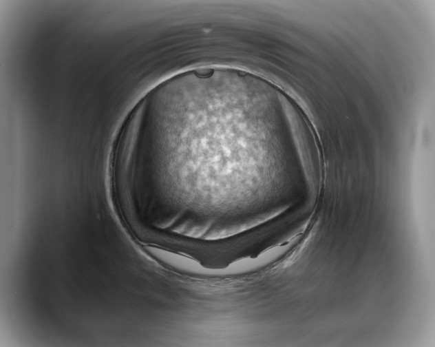 X0000088411533200706121405