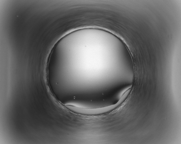 X0000088411534200706121405