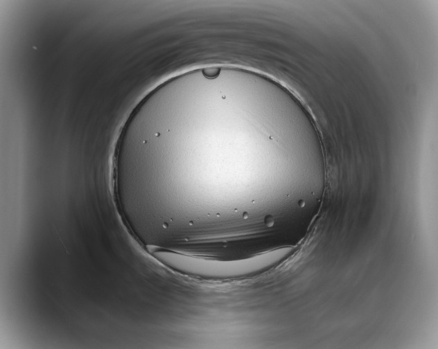 X0000088411535200706121405