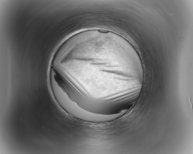 X0000088411536200706121405