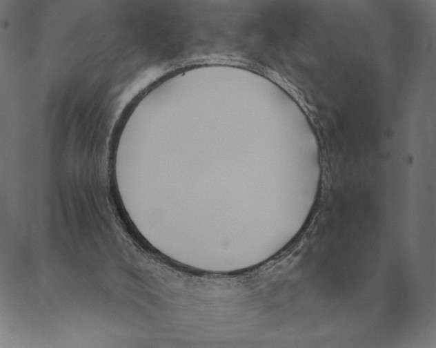 X0000088410008200706191434