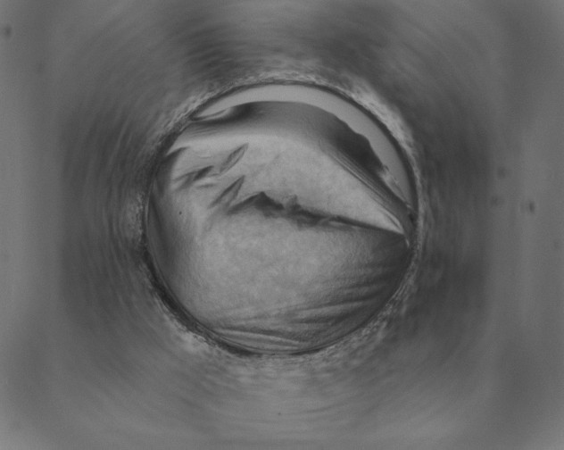 X0000088410009200706191434