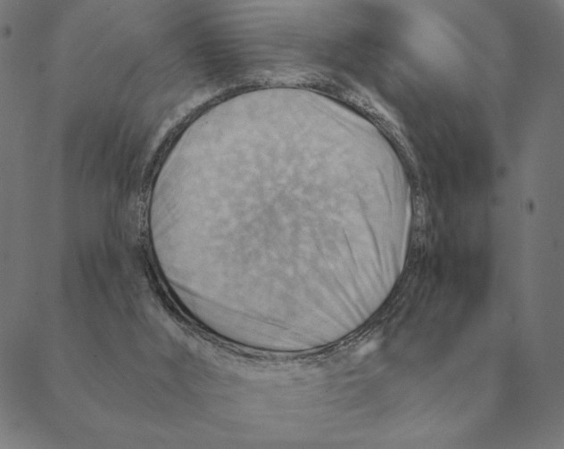 X0000088410012200706191434