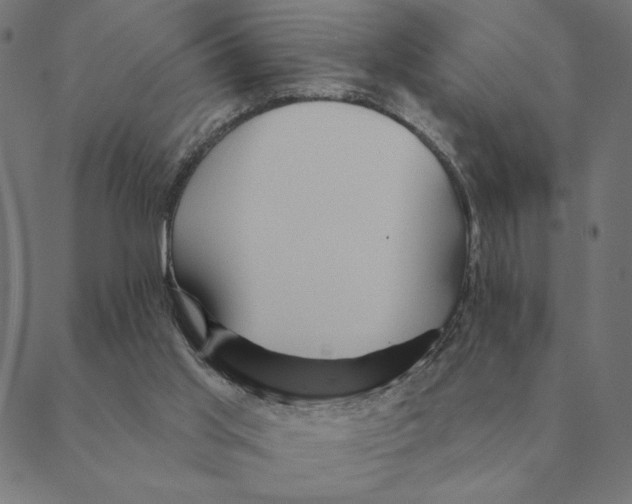 X0000088410013200706191434