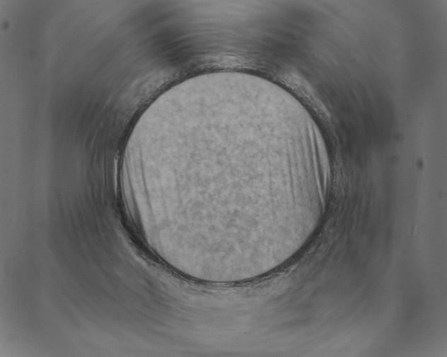 X0000088410014200706191434