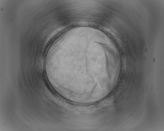 X0000088410016200706191433