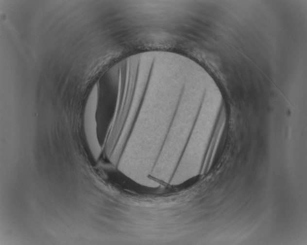 X0000088410017200706191433