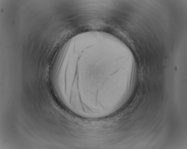 X0000088410018200706191433