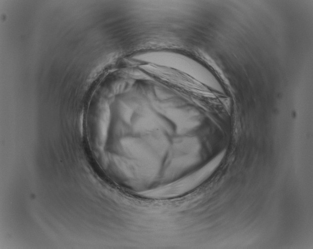 X0000088410019200706191433