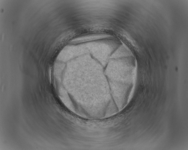 X0000088410022200706191433