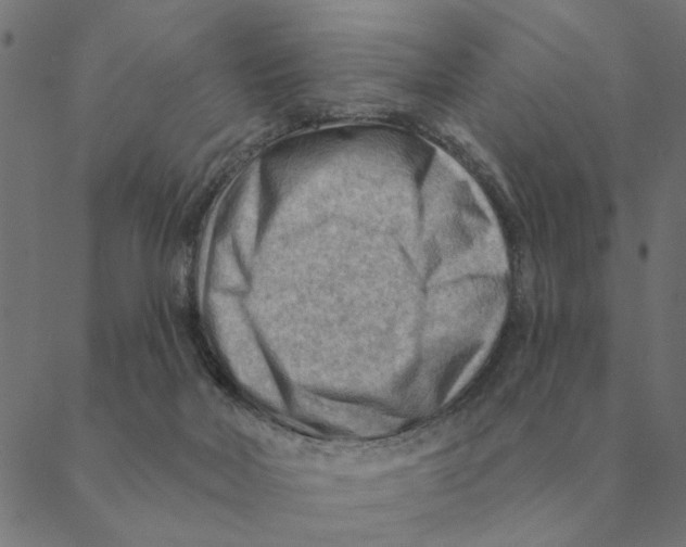 X0000088410026200706191433