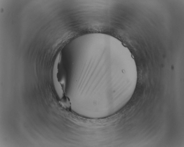 X0000088410027200706191433