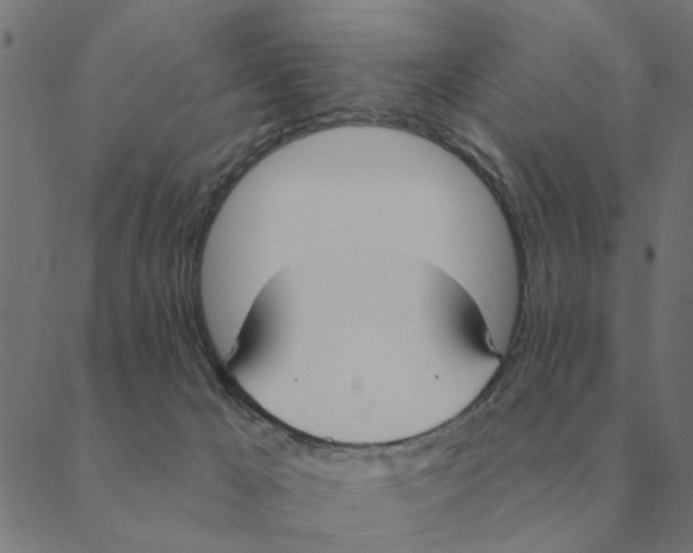 X0000088410029200706191433