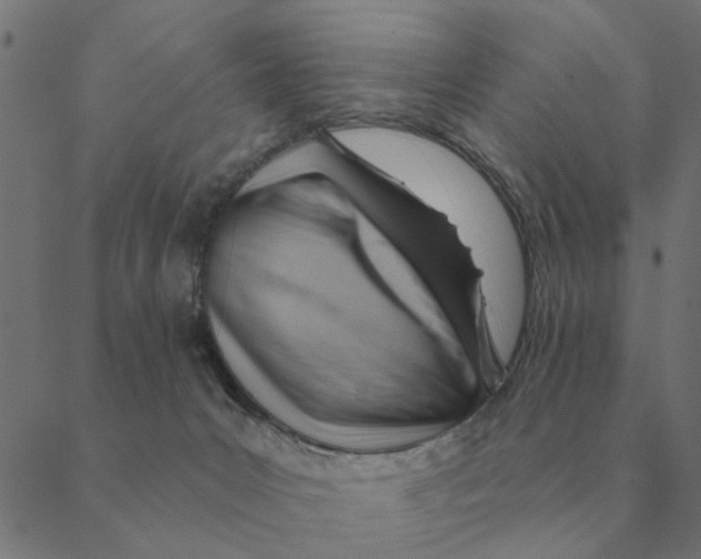 X0000088410031200706191433
