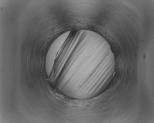 X0000088410033200706191433