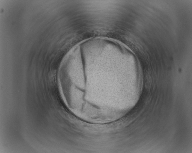 X0000088410034200706191433