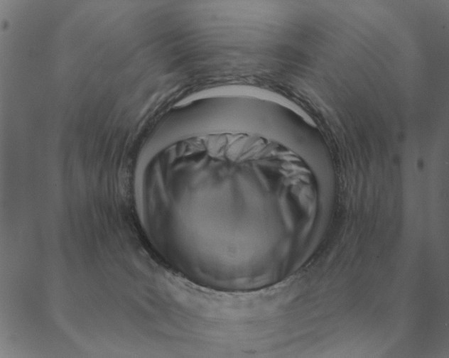 X0000088410035200706191433