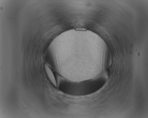 X0000088410037200706191433