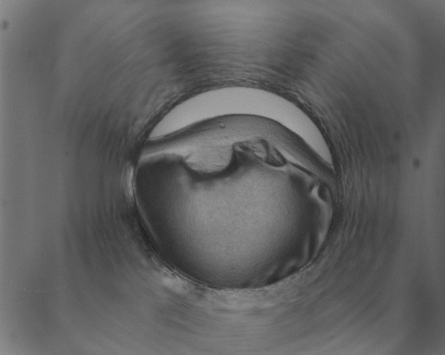 X0000088410041200706191433