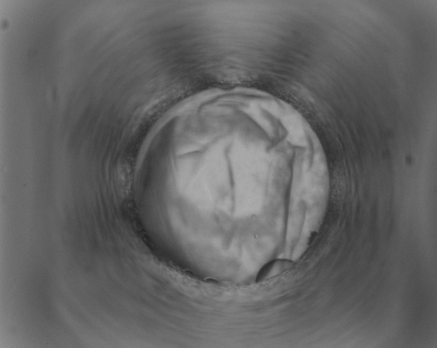 X0000088410043200706191433