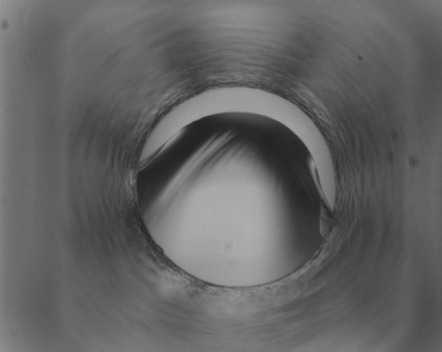 X0000088410045200706191433