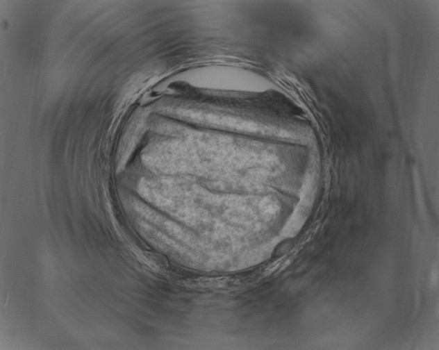 X0000088410049200706191432