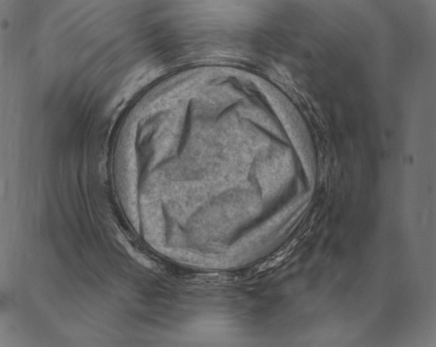 X0000088410050200706191432