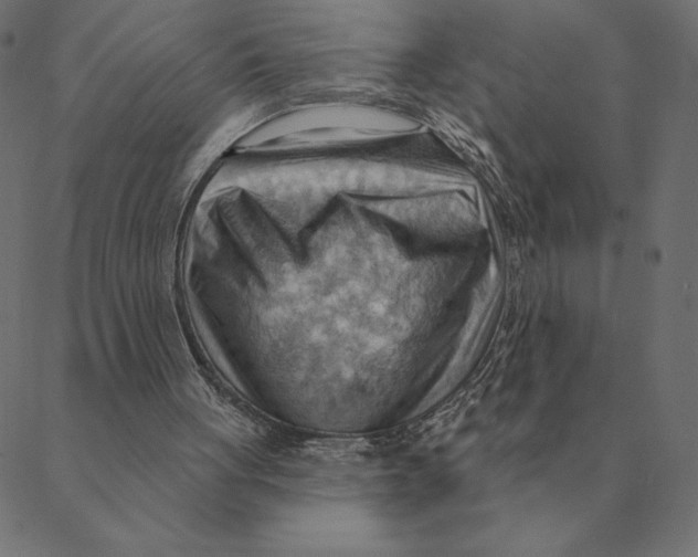X0000088410051200706191432
