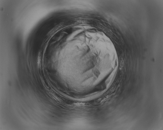 X0000088410052200706191432