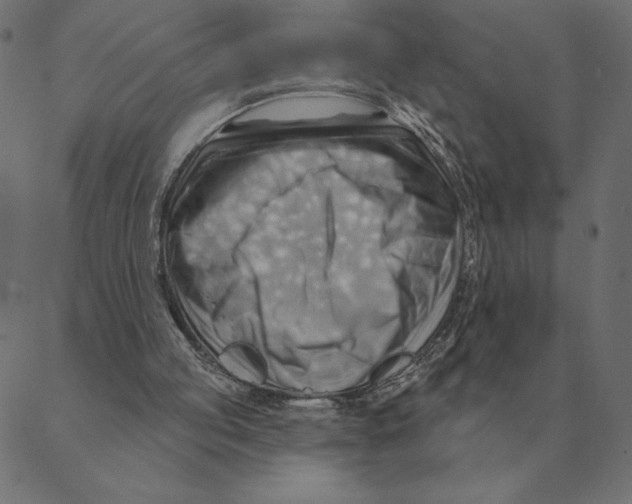 X0000088410053200706191432